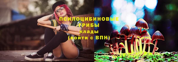 скорость Арсеньев