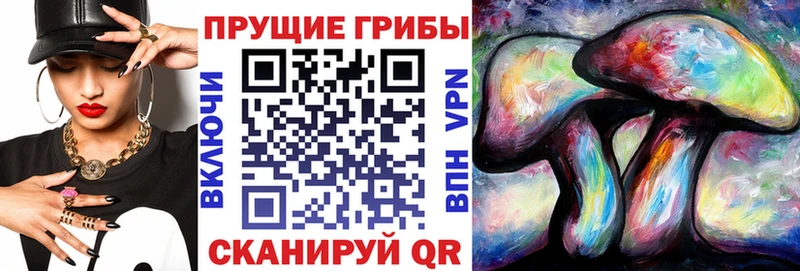цена наркотик  Пролетарск  blacksprut ссылка  Псилоцибиновые грибы MAGIC MUSHROOMS 